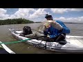 pêche aux leurres dans la mangrove guadeloupe