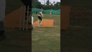 Cut Shot executed perfectly #shorts #cricket #viralvideo #trending