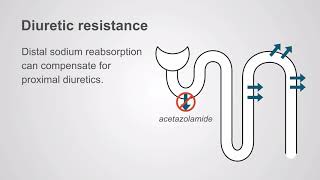 Diuretic resistance