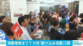 消費増税まで1カ月「駆け込み消費」は3割(19/09/01)