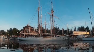 The Maple Leaf Schooner