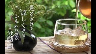 1分で涼しくなる（かもしれない）動画