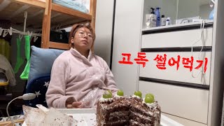 죽어야 끝나는 망한인생