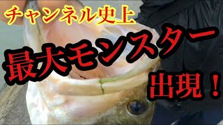 瀬田川にはモンスターバスが潜んでいる！チャンネル史上最大魚出現！！