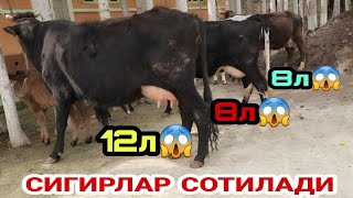 СОТИЛАДИ ЗУРЛАРИ АРЗОНЧИ УКАДАН 😱🤝☎️+998 91 327 60 09 СИГИРЛАР  SOTILADIGON SIGIRLAR 30 марта 2023 г