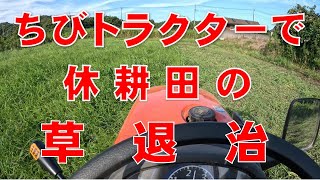 トラクターで草退治