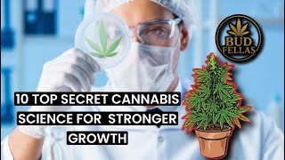 10 Cannabis Plant Science Secret For Stronger Growth