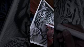 ASMR🎙| Tiger Drawing using CHARCOAL #asmr #asmrsounds