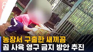 곰 쓸개 채취 위해 불법 증식 · 도축…영구 사육 금지 / SBS