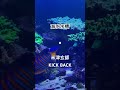 海水水槽の束の間✖︎ 米津玄師 kick back