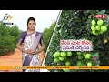 అన్నదాత 6th january 2025 annadata full bulletin etv andhra pradesh