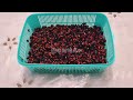 dry pomegranates seeds in air fryer anar dana only in 30 minutes recipe ❗️ by cwmap