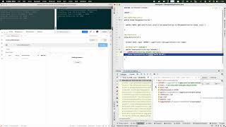 Java remote debugging demo