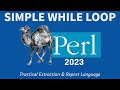 Perl Programming - While Loop 2023