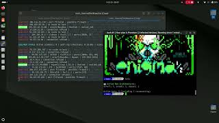 Enigma C2 Load bots into botnet (Free Botnet Loader)