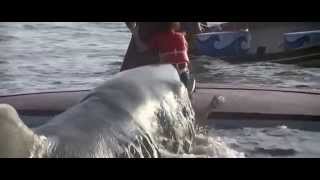 Jaws 2 - Marge Bites It