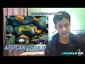 PERSIAPAN TANK AFRICAN CICHLID! Cara Set up Tank murah untuk Ikan Cichlid afrika.