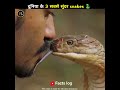 दुनिया के 3 सबसे सुंदर साॅंप😱😱 pt 2 shorts factslog animals