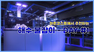 2023 마린코스트 해수 물잡이 1편 - 마린코스트에서 제안하는 2가지 해수 물잡이 방법 - 비교 영상 - 1일차