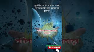 মুসা (আঃ)-এর বিশেষ জিকির চাওয়া ও আল্লাহর উপহার – আপনার জন্য অনুপ্রেরণা\