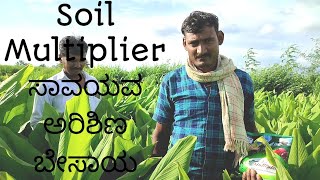 Soil Multiplier | Organic Turmeric Cultivation | ಸಾವಯವ ಹರಿಶಿಣ ಬೇಸಾಯ | 9071838651