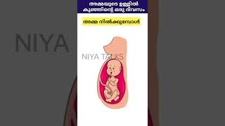 അമ്മയുടെ ഉള്ളിൽ കുഞ്ഞിന്റെ ഒരു ദിവസം 💯#shorts #trending #pregnancy #malayalam #funny #baby