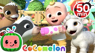 Old MacDonald Song - Baby Animals + More Nursery Rhymes & Kids Songs - CoComelon