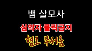 {자연} 살모사 뱀 독사 백두대간 등산로에서 땅꾼에게 발견된 무시무시한 독사한마리 가슴이 철렁 무서운 뱀 깃대봉 등산 원점회귀산행