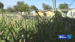 Household bills in San Angelo are some of the lowest in Texas, reports show