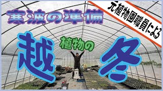 【寒波に負けるな！】元植物園職員による多肉植物の冬対策！