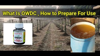 How to Prepare OWDC | Waste Decomposer | Organic Farming And Dragon Fruit Farming @DamailiAgroFarms