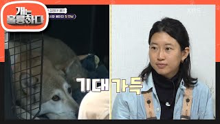 ＂오늘 봄이를 위해 한 것 같아요＂ 강 훈련사의 호언에 든든해진 보호자들! [개는 훌륭하다/Dogs Are Incredible] | KBS 230424 방송