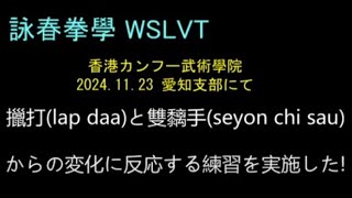 擸打(lap daa)と雙黐手(seyon chi sau)からの変化 第貳段階の対人練習等を紹介しています。