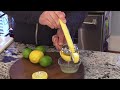 lemon u0026 lime press