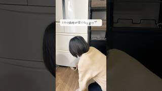 【大掃除に使える！】隙間ワイパーの裏ワザ　#掃除 #家事ラク  #100均グッズ