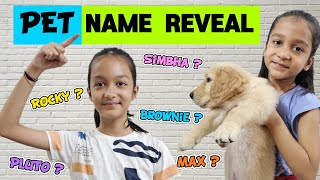 PET NAME REVEAL 🐶🐱🥰  |  Aayu Vanu Ka Pet | Pet Lover | Family Vlog | Aayu and Vanu