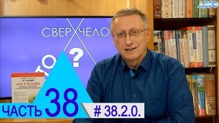 38.2.0. Тёмнобарионная сущность человека. Проект \