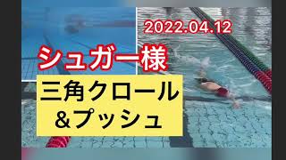 シュガー様　三角クロール＆プッシュ　2022.04.12 一礼会