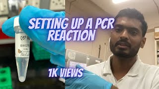 Setting up a PCR reaction (DEMONSTRATION)