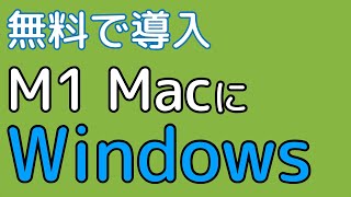 （旧バージョン）UTMを使ってM1 MacにWndows11をインストール！！（Insider Preview）