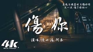 陳小滿/阿辰(閻辰) - 傷你『傷你的 點點滴滴，都是我 辜負你真心。』【高音質|動態歌詞Lyrics】♫