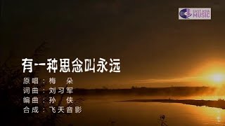 有一种思念叫永远-梅朵-伴奏 KARAOKE