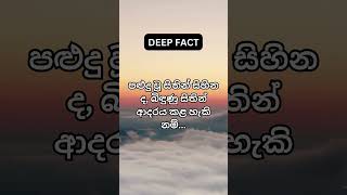 ඔබ මේ ලෝකය සහ එහි සියලු වස්තු 🌍 ලැබීමට සුදුසුයි #shorts #deepfact #subscribe #facts