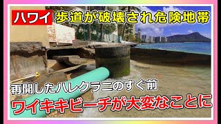 知事へ緊急被災地指定を要請！海岸侵食で通路を閉鎖【ハワイ最新情報】【4K】【ハワイ現状】【ハワイの今】【ハワイ旅行】【HAWAII】