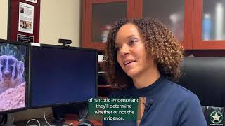 BSO Crime Lab