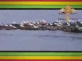 እንሂድ ወደ ፃድቃኔnew mezmur by zemari deacon haile tesfaye 2015