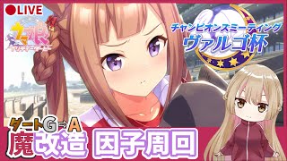 【#ウマ娘】推し活！ヴァルゴ杯に向けて因子周回 【#新人vtuber 】今日もお熱のため少しだけ‥！スィープトウショウで勝ちたいっ！次回チャンミはダート中距離に決定【ヴァルゴ杯】大井ダート2000ｍ＊