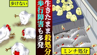 【残虐】生まれた瞬間ミンチで殺処分！歩行障害も多発！ニワトリ工場の実態とは【雑学漫画】