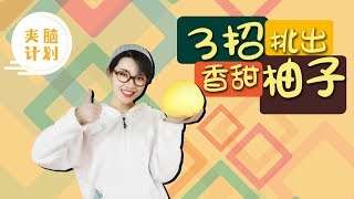 【夹脑计划】177）柚子季，这3招挑选法你必须要学会