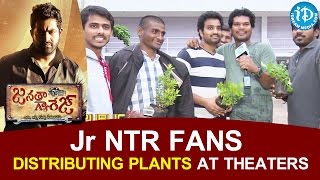 Jr NTR Fans Distributing Plants At Bramaramba Theater || Janatha Garage || Samantha || Koratala Siva